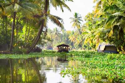 Munnar and Thekkady